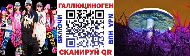 Псилоцибиновые грибы Psilocybe  hydra ONION  Новозыбков 