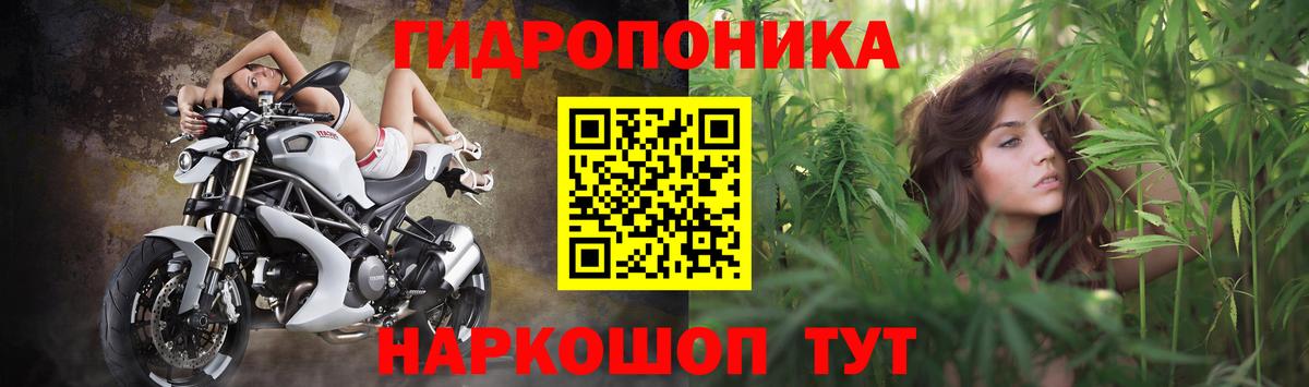 МАРИХУАНА планчик  Бошки Шишки White Widow  Вход с VPN  Новозыбков  Канабис марихуана 